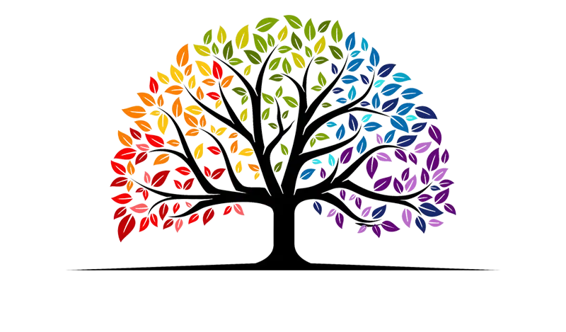 Focused Therapeutic Solutions